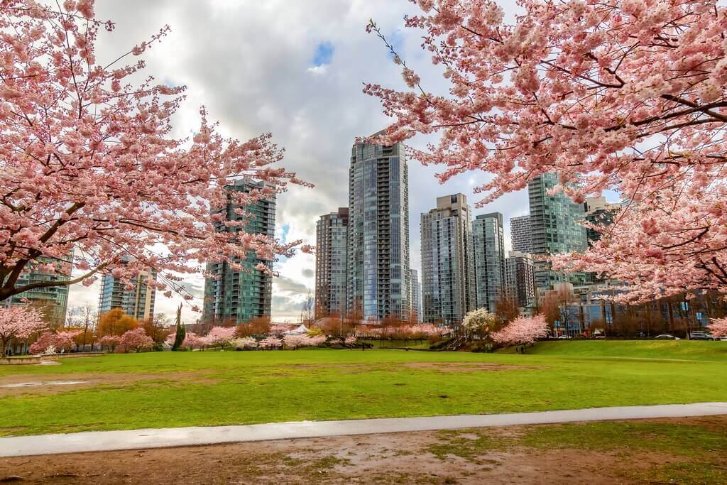 Airbnb Vancouver