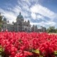 How to start an Airbnb business in Victoria