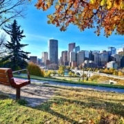 The Definitive Guide on Tax on Airbnb Income in Calgary