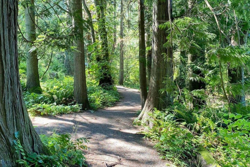 Saanich's Best Neighbourhoods for Airbnb - Mount Douglas Park