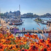 Earning Profits with Airbnb in Victoria, Canada. Top 5 Insights to Consider
