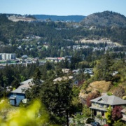 Top Reasons Why Langford, BC Airbnb is a Smart Investment