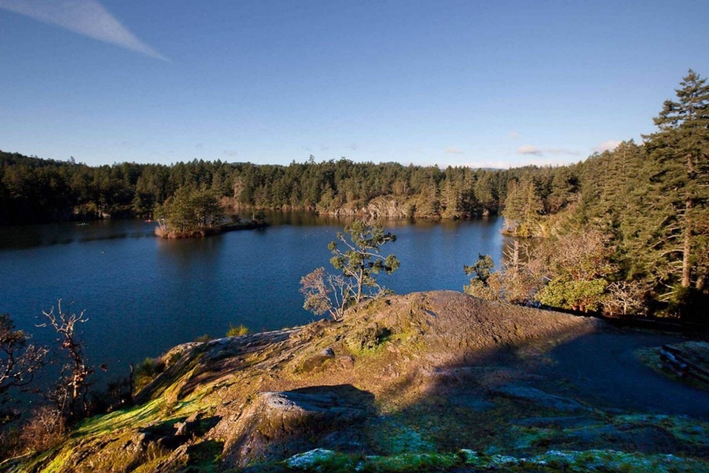 Top Reasons Why Langford, BC Airbnb is a Smart Investment - Thetis Lake