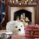 Guidelines for Themed Vacation Rentals