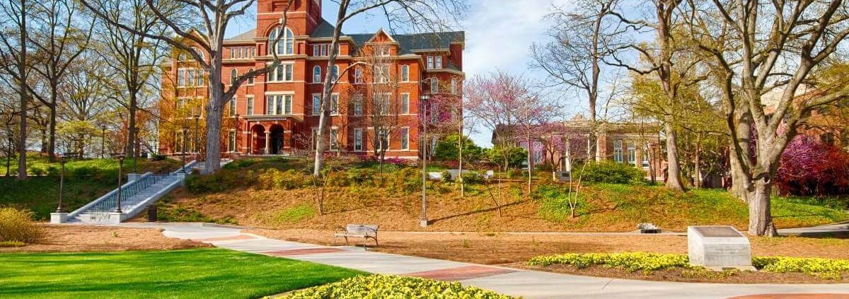 The Wisdom Behind Investing in Atlanta's Airbnb Market