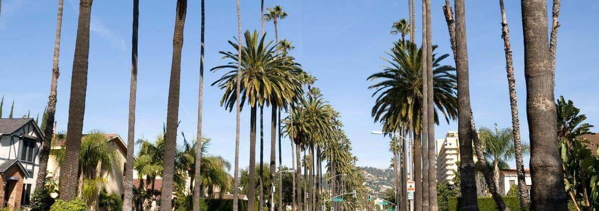Beverly Hills - The Premier Destination for Airbnb in the Greater Los Angeles Area