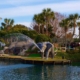 A Comprehensive Guide to Panama City Beach for Your Guests