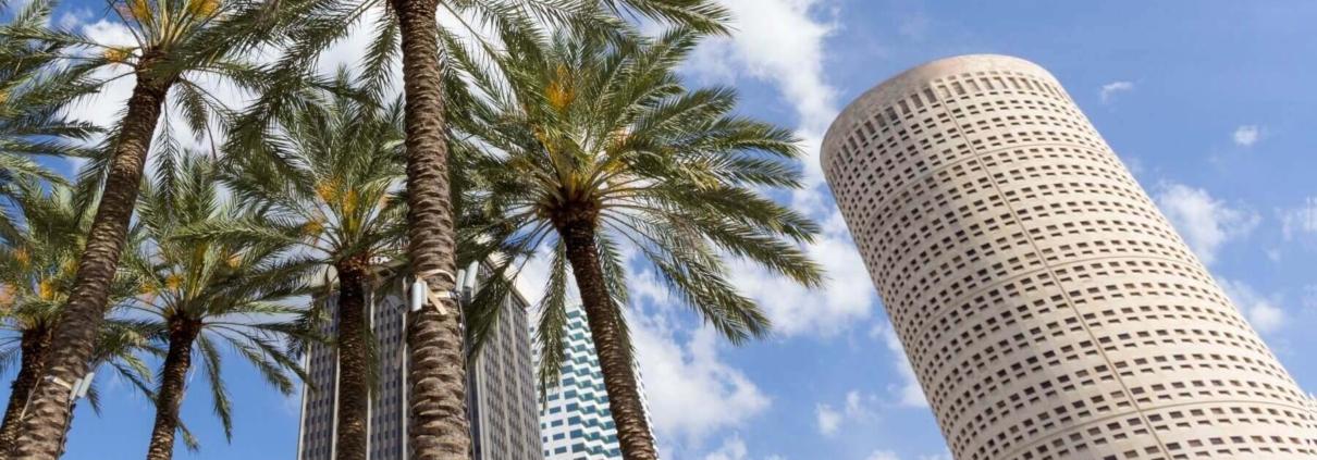 Airbnb Regulations in Tampa, Florida