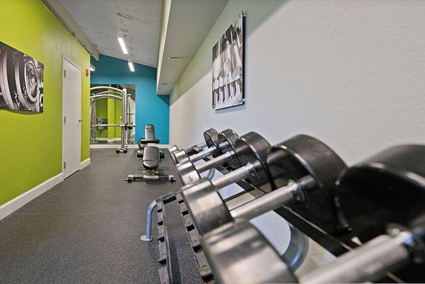 Explore-Airbnb-Friendly-Condos-in-Jacksonville-Florida-Park-Avenue