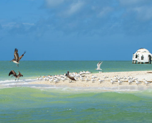Airbnb in Marco Island is a Great Investment