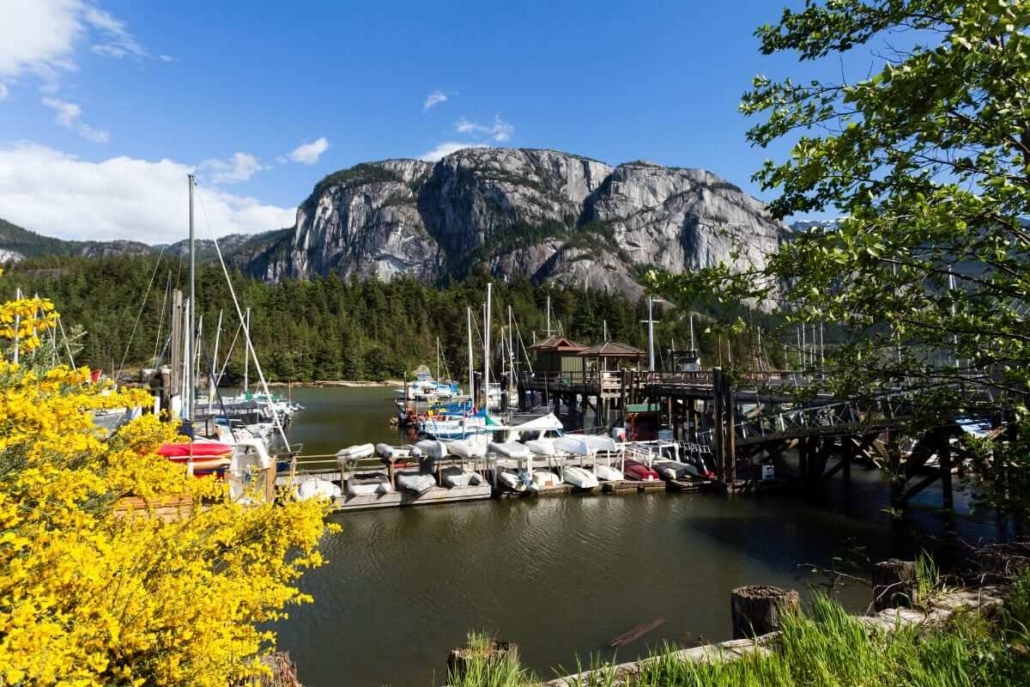 Richmond, BC Airbnb Rules