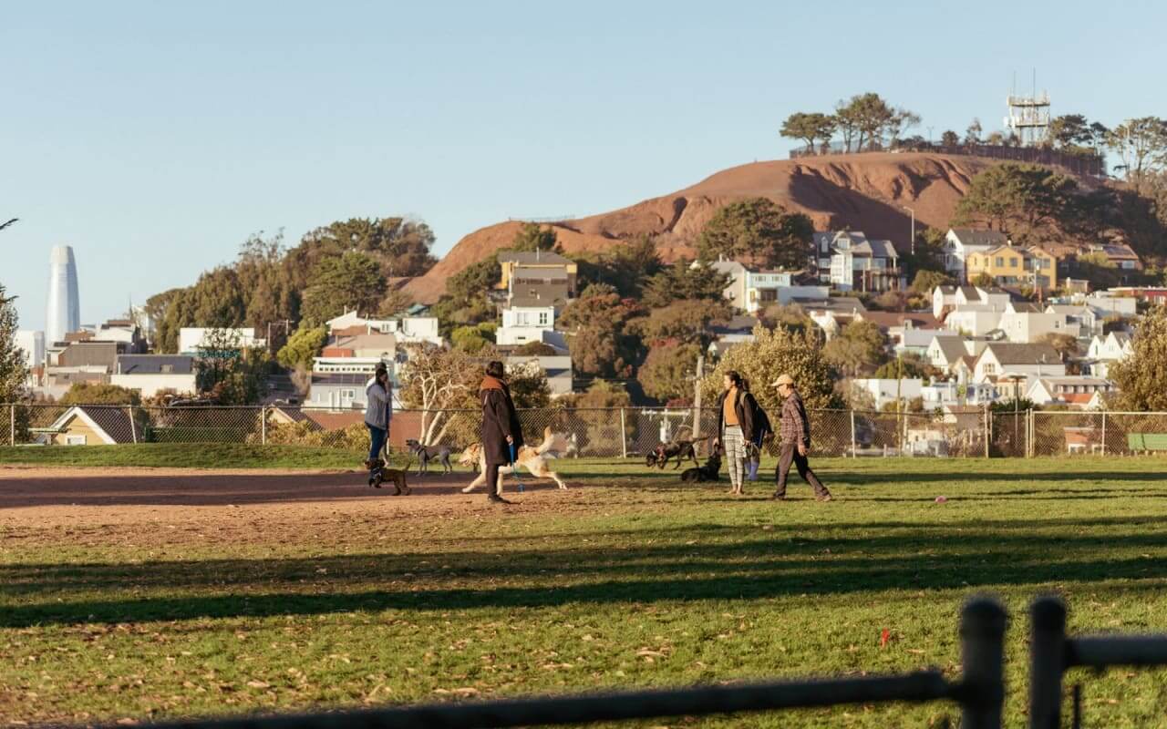 Best Airbnb Neighborhoods San Francisco for Investors