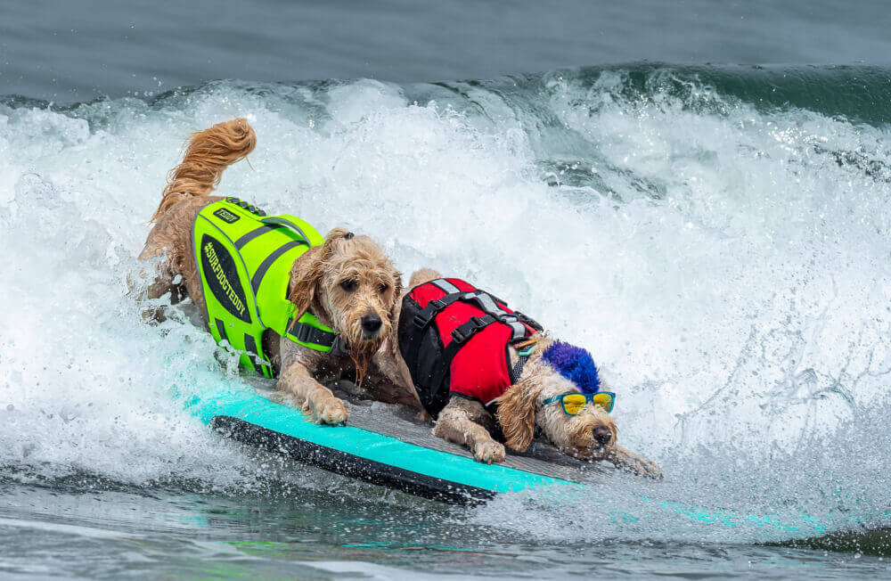 From Surf to Sand: Huntington Beach Airbnb Host’s Essential Guide