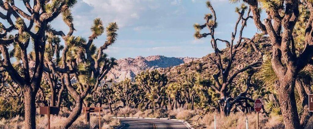 Navigating the Complexities of Yucca Valley Short-Term Rental Regulations