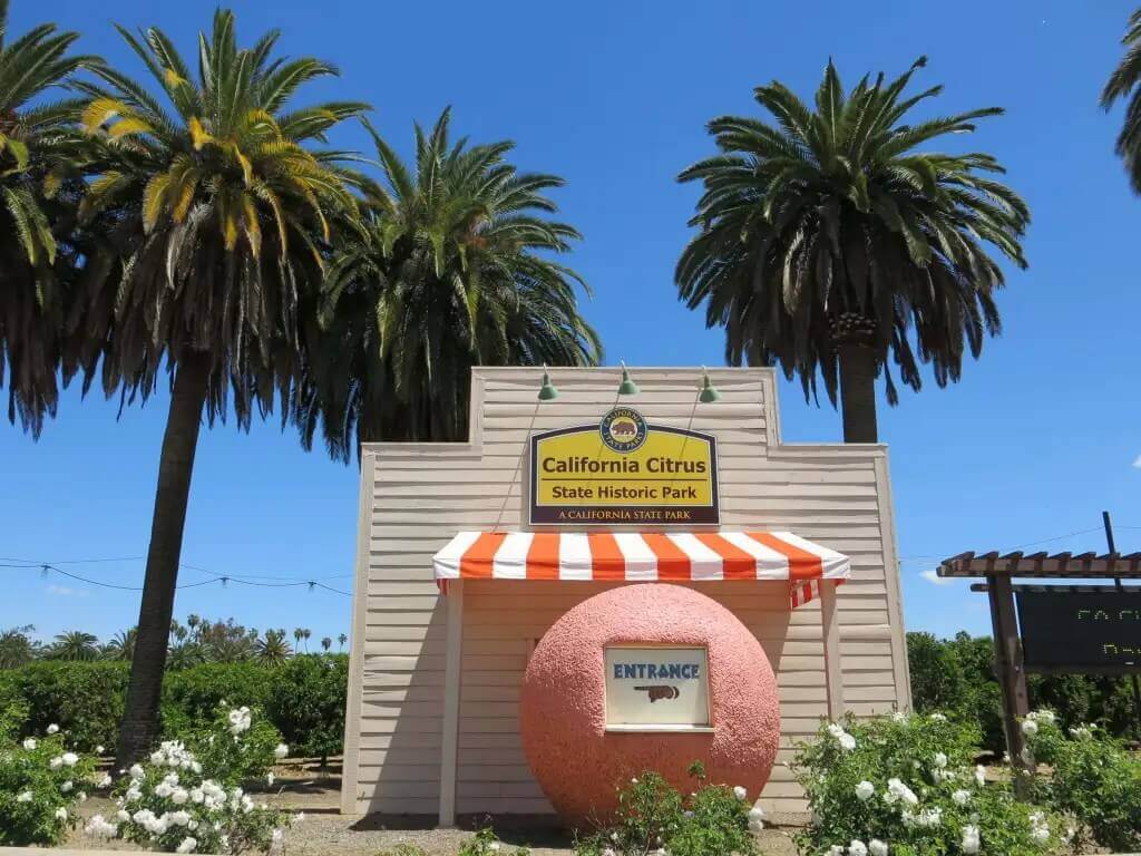 Starting an Airbnb in Riverside? Avoid These Common Pitfalls for Instant Profit