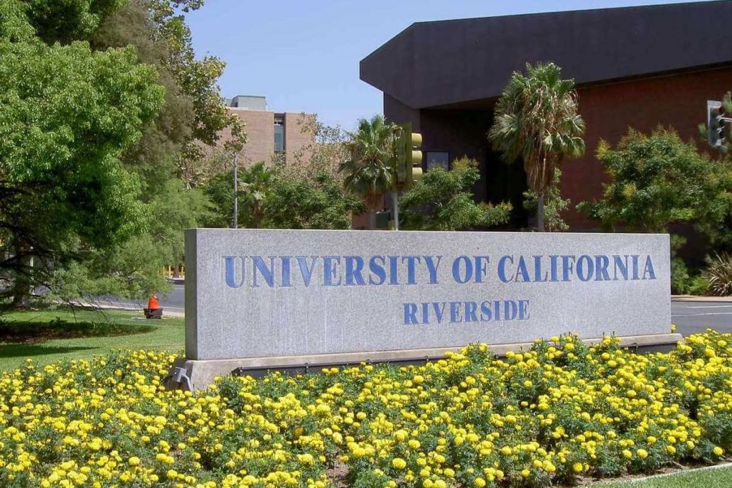 Starting an Airbnb in Riverside? Avoid These Common Pitfalls for Instant Profit