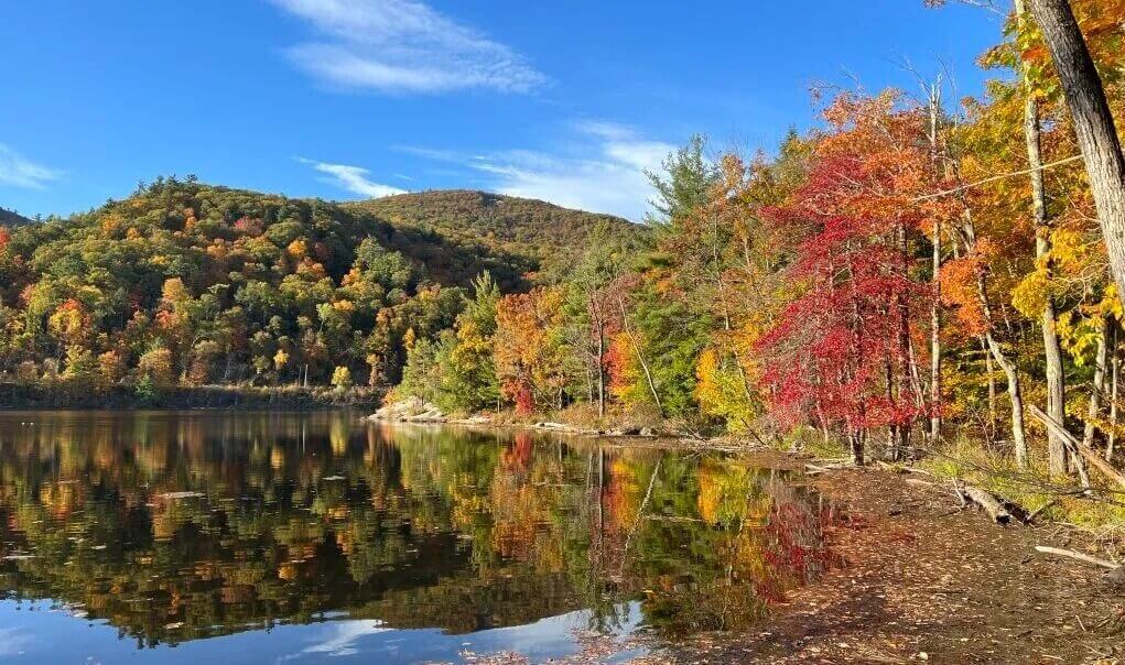 A Local's Guide to the Best Hidden Gems for Saratoga Springs Airbnb Visitors