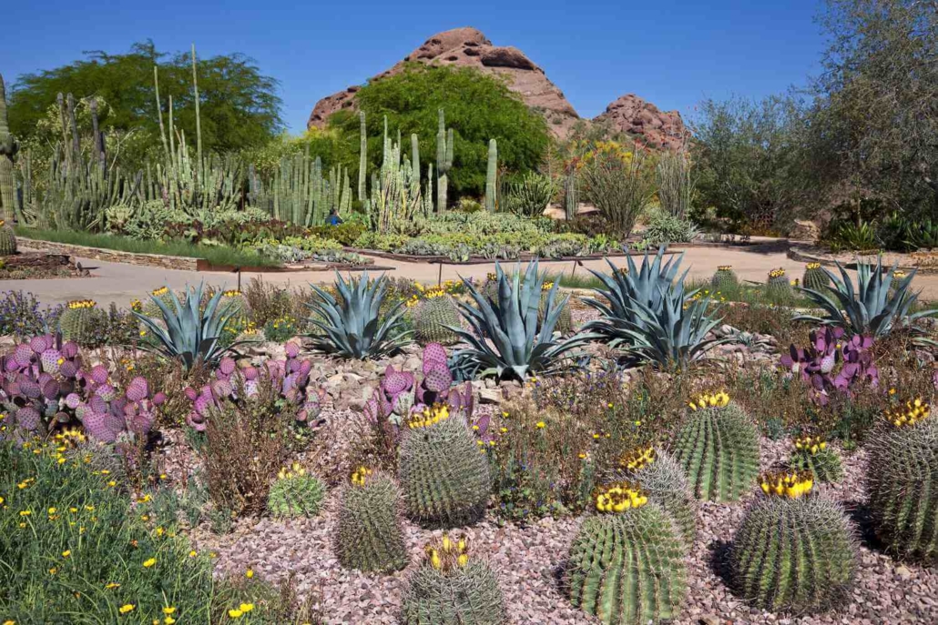 Benefits of Airbnb Investments in Phoenix