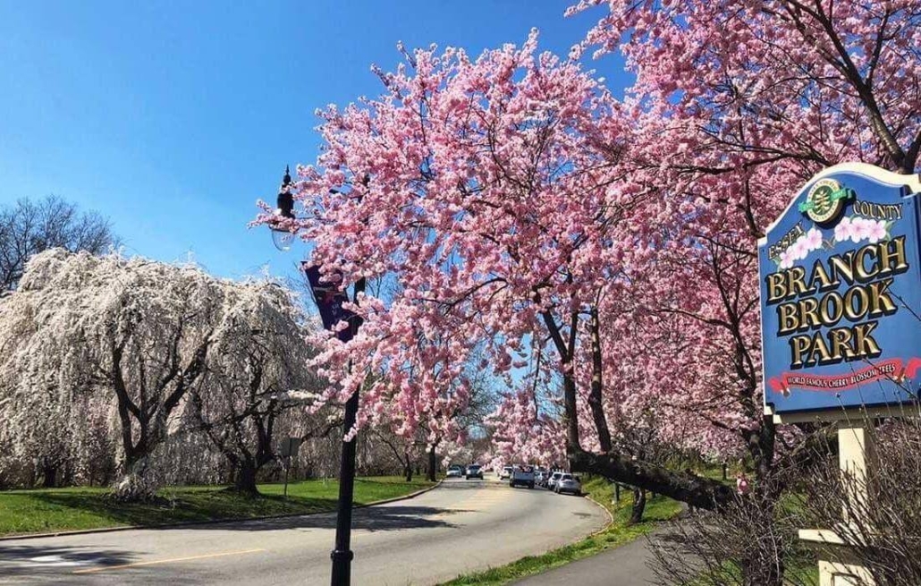 Powerful Dates That Will Skyrocket Your Newark Airbnb Hosting Game