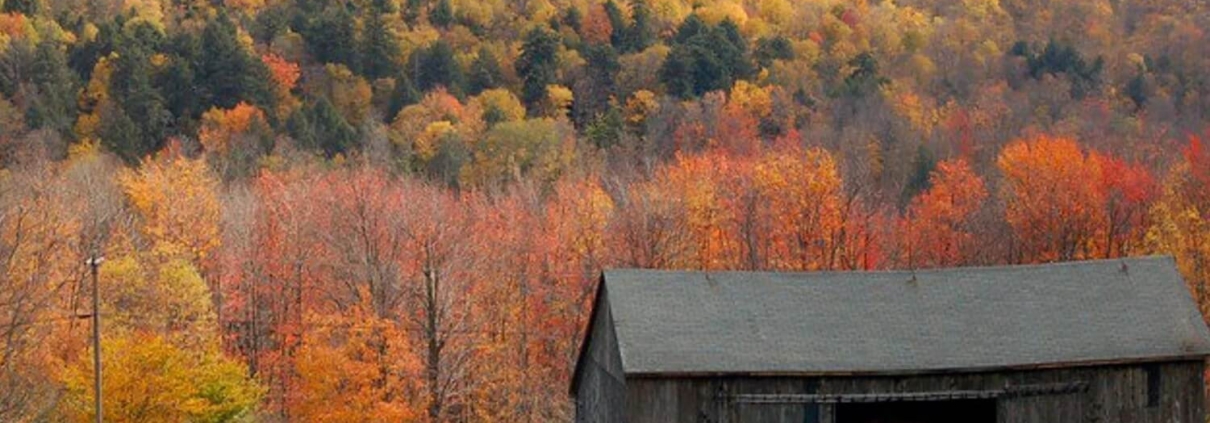 Secrets to Skyrocket Your Airbnb Profits in Saugerties
