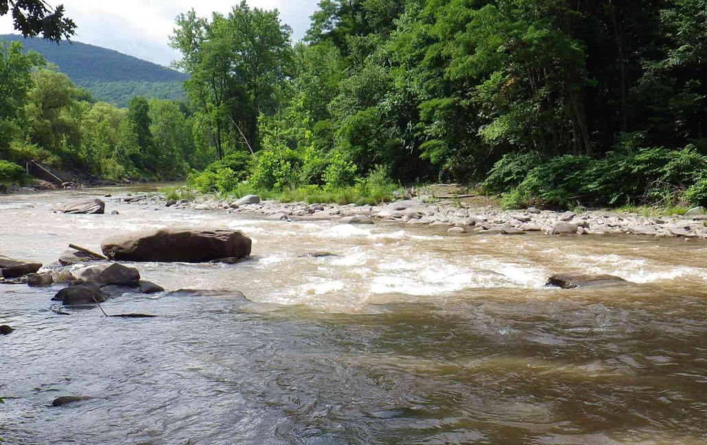 Secrets to Skyrocket Your Airbnb Profits in Saugerties