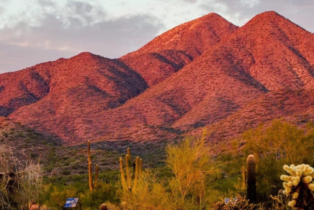 Setting Up a Profitable Airbnb in Scottsdale