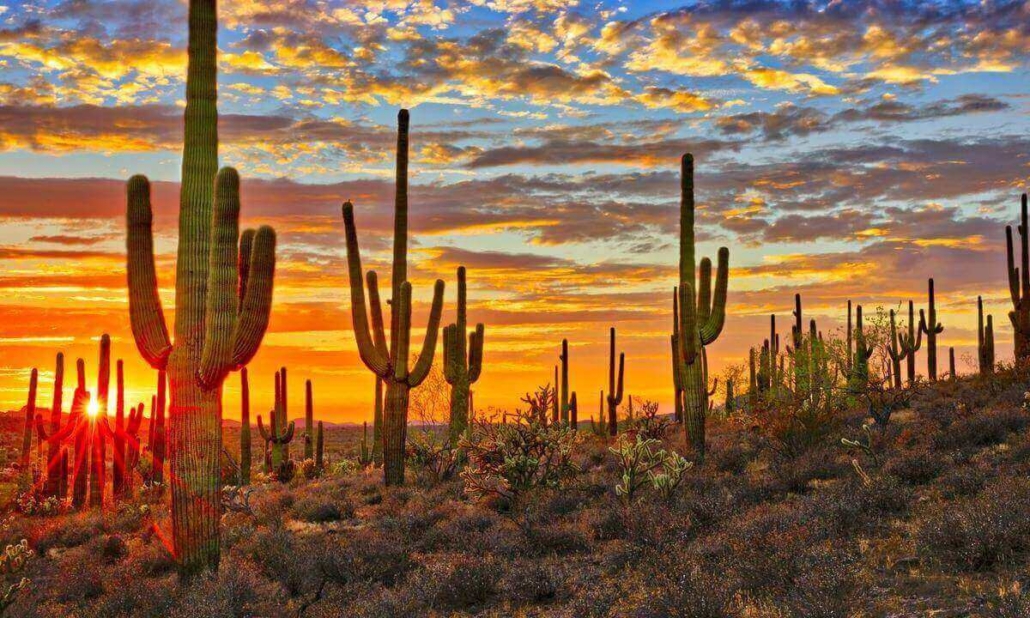 Setting Up a Profitable Airbnb in Scottsdale
