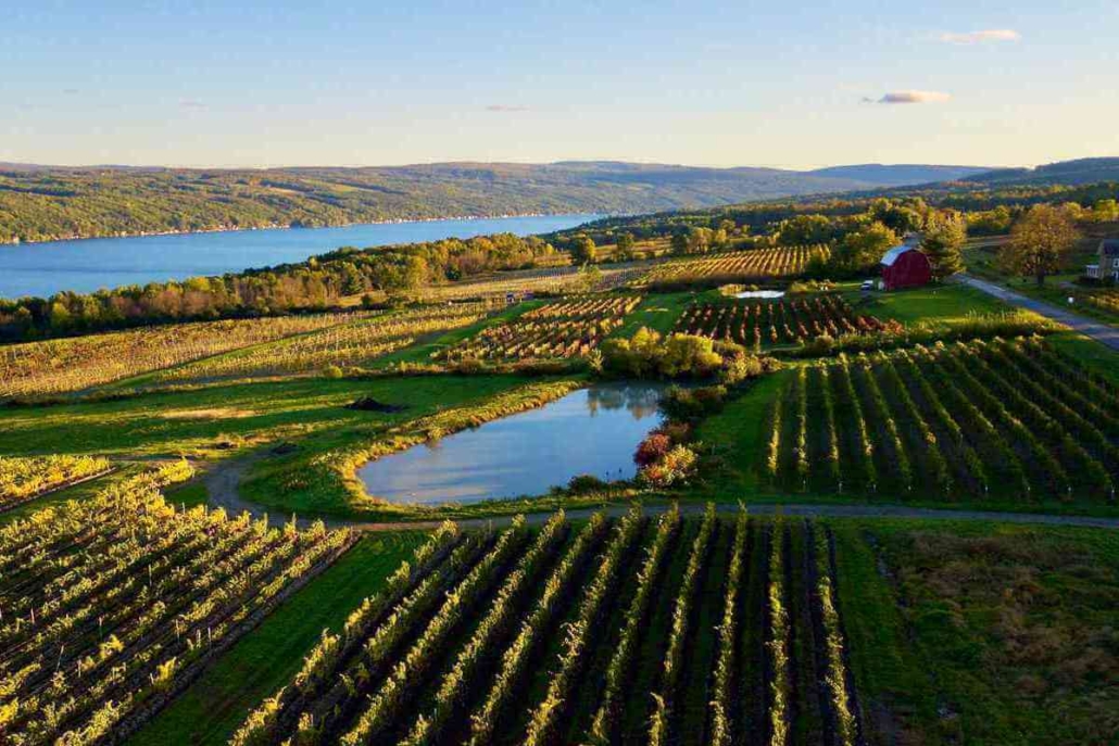 Turning Homes into Havens: The Lucrative Trend of Airbnb Investments in Ithaca, NY, Explained