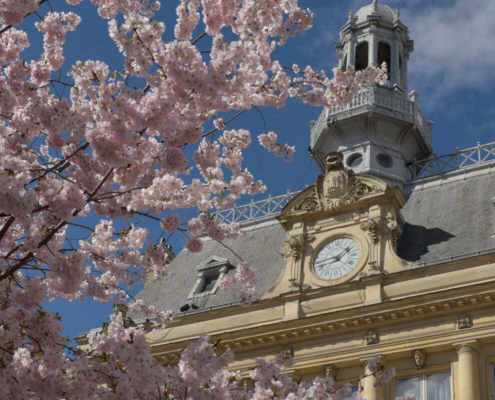 Paris’s Hidden Gem: Investing in Airbnb Properties in Asnières-sur-Seine for Maximum Returns