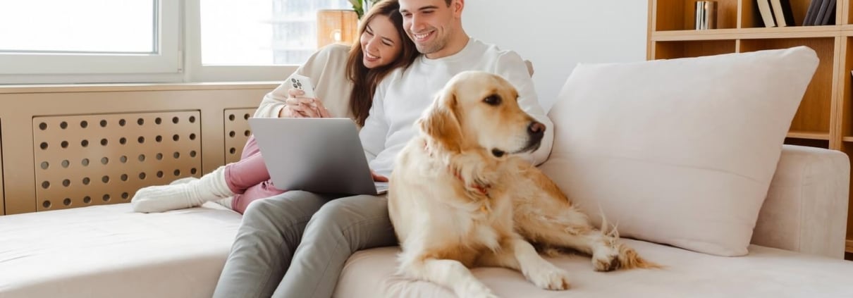 Best Calgary Airbnbs for Travelers with Pets