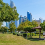 Abu Dhabi Travel Guide For Airbnb Guests