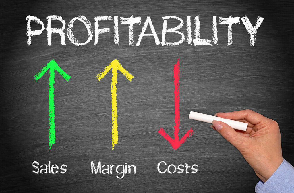 What Is the Airbnb Profit Margin