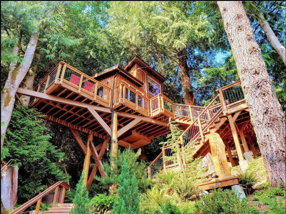 The Owls Perch Treehouse