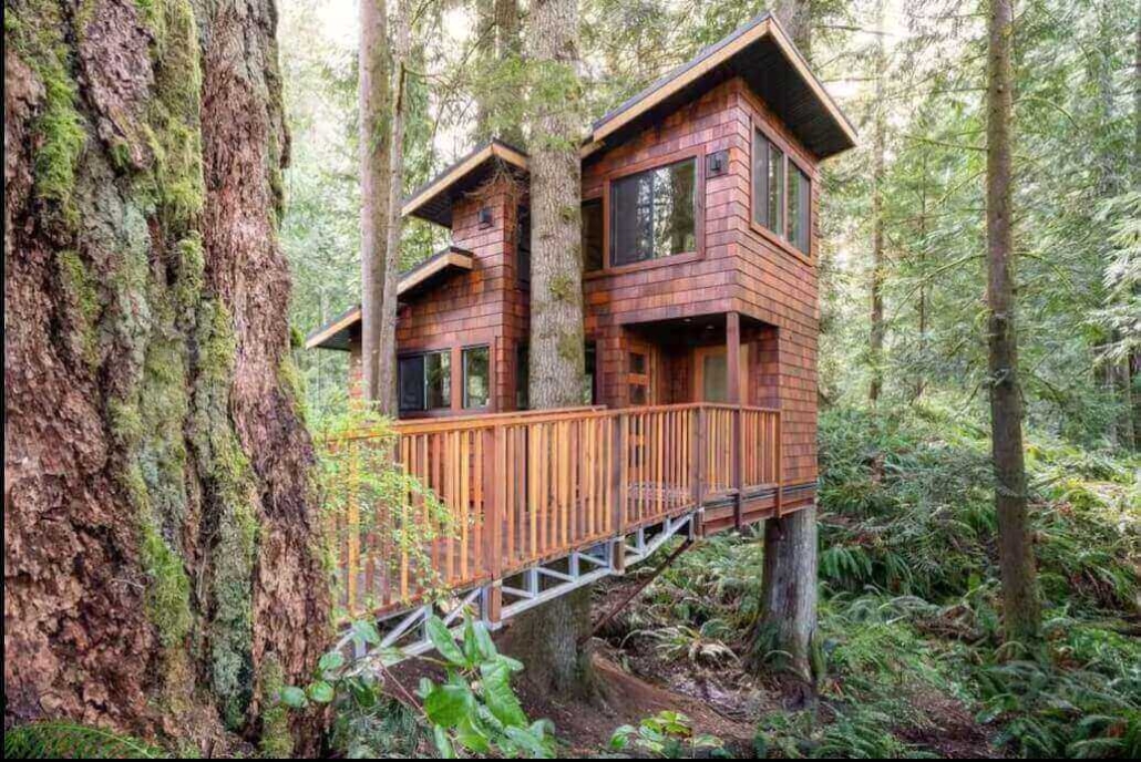 East Sooke Tree House