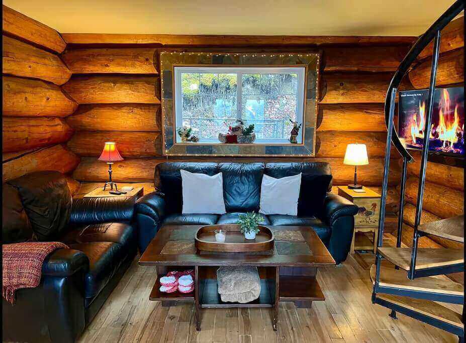 Cozy Log Cabin With Lake View, Hot Tub, & Beach