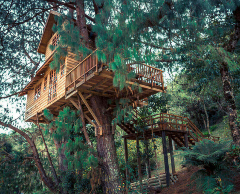 Ontario Unique Airbnb