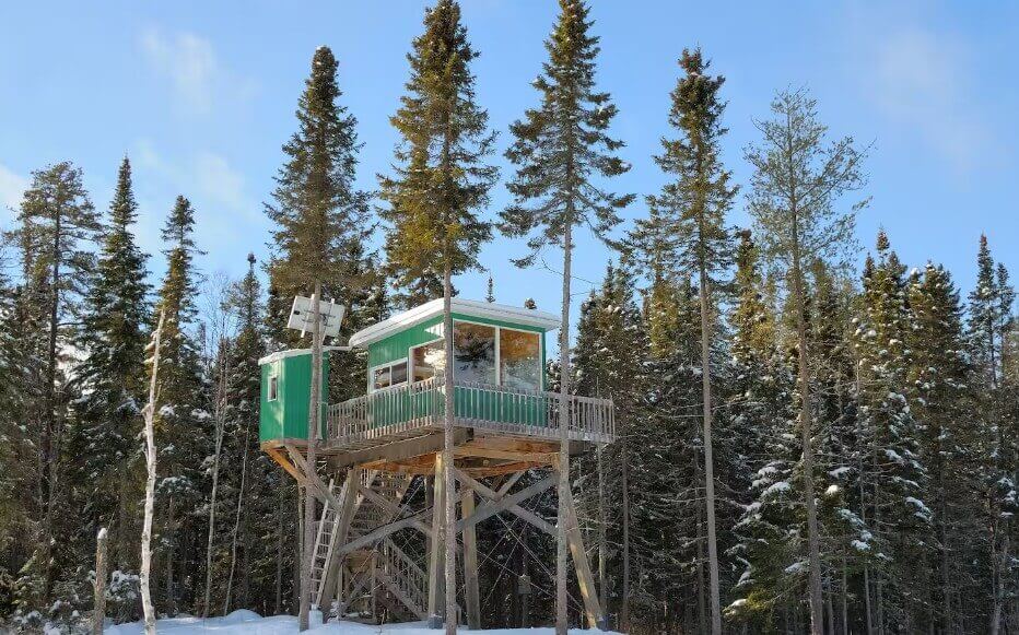 Boreal Forest Experience Tower