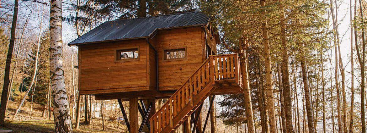 The Best Tree House Airbnb Rentals in Canada