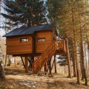 The Best Tree House Airbnb Rentals in Canada