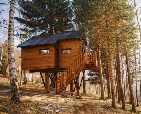 The Best Tree House Airbnb Rentals in Canada